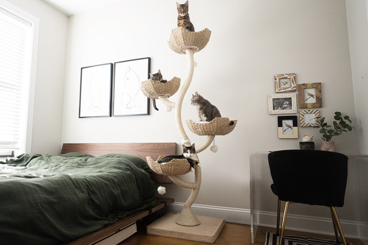 Árbol para gatos con hiedra